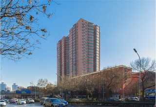 自动化西红柿加工生产线平台